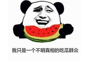 内涵吃瓜句子,网络热词背后的文化现象