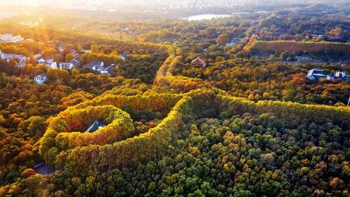 吃瓜网钟山,揭秘吃瓜网背后的故事与影响力